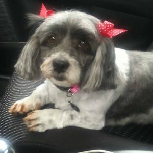 Meet your Posher, Jessica